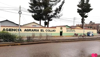 Agencia Agraria El Collao AgroRural - Ilave 21501