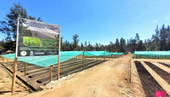 Agencia agraria - Parubamba