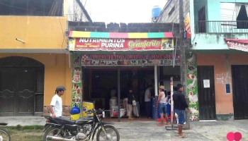 Agente Bcp El Grangerito - Tocache 22541
