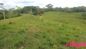 Amazon Expeditions - Peru - Iquitos 16007