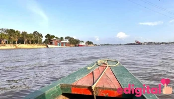 Amazon Jungle Life - Iquitos 16001