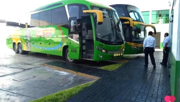 Angecia de buses Palomino Wari Ruta Andahuaylas-Lima - Andahuaylas 03701