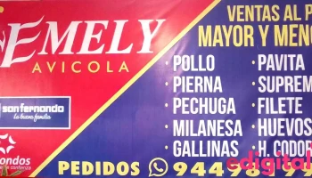 Avícola y Carnicería Emely - Castrovirreyna 234