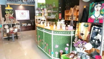 Begonies Botanicals - Urubamba 08061