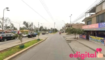 Botica - Auxiliar Av. Mariano Pastor Sevilla