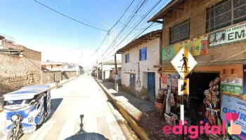 Botica - Hualhuas 12105