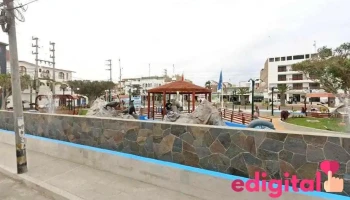 Botica Willy - Paracas 11550
