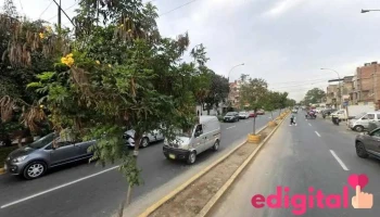Boticas y Salud - Elio - Lima