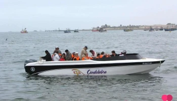 Candelabro Travel (Islas Ballestas) - Distrito De Lima 11550