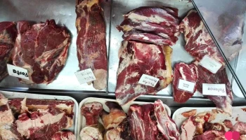 Carniceria Y Fabrica De Cecinas La Cordillera - 4390000 Cañete