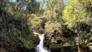 Cascada El Leon - Villa Rica 19300