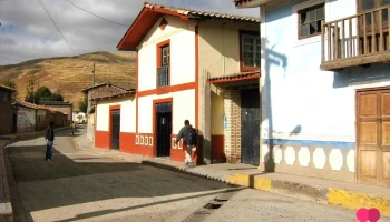 Cochahuayco campestre - Perú