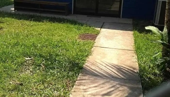 Cofopri San Martin - Tarapoto 22201
