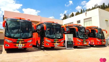Cusela - Cusco 08000