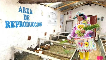 cuyay chopcca - Paucará 09305
