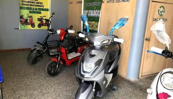 Dac Import | GreenLine Juliaca Motos Eléctricas - Juliaca 21101