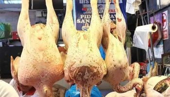 El Chuleton - Av. Metropolitana 2450