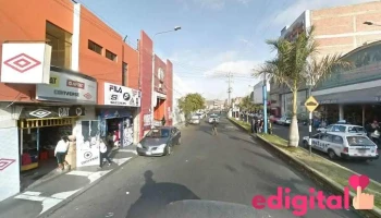 El Mundo de las Fragancias - Galería Quijote