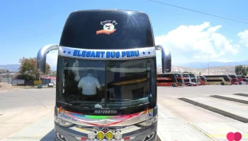 Elegant Bus Perú - Ayacucho