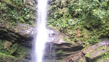 Elija Travel Tours - Tarapoto 22202