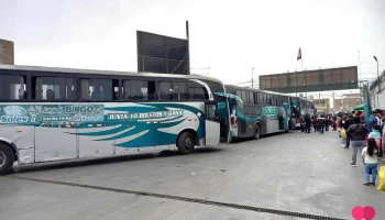 Empresa de Transporte y Turismo Z Buss - Huaral 15201