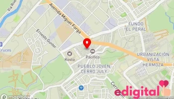Empresa de Transportes Cotaspa S.a. - Socabaya