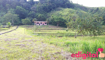 Estacion Pesquera de Uchiza - Uchiza 22560