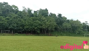 Estadio de Chazuta - Chazuta 22300 Estadio de Chazuta - Chazuta 22300