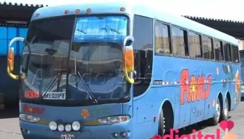 Flores Tumbes - Tumbes 24002