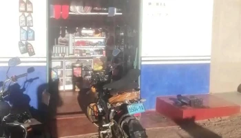 Fredymotors - Mazocruz 21661