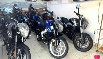 Gallo Motor - 29784 Gallo Motor - 29784