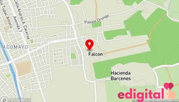 Galpón avícola San Camilo - Parcona 11000