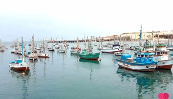 Hamber Terminal Pesquero Talara - Talara 20811