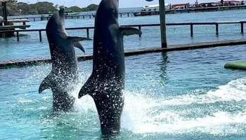 InstaTravel - San Isidro 15046 InstaTravel - San Isidro 15046