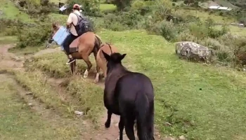 Las Quinuas - Chivane 13450