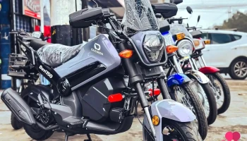 Lozan Motors - Huánuco 10002