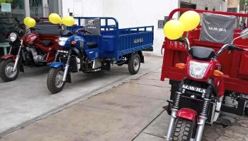 Mavila - Trujillo 13001