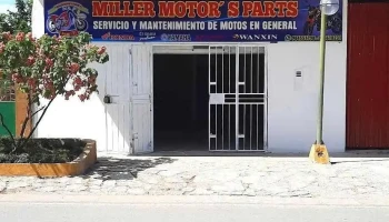 Miller Motors parts - Juanjuí 22601