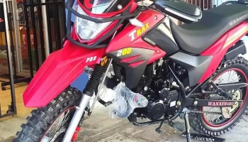 Motoking - Tumbes 24001