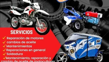 Motorepuestos Burga - 06120