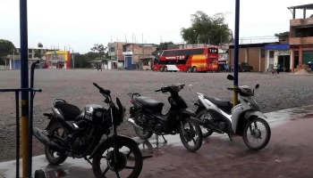 Movil Bus Agencia Nueva Cajamarca - Nueva Cajamarca 22846