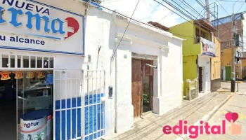 Nueva Ali Farma - Guadalupe