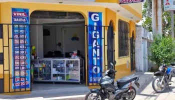 Origami studio - Camaná 04450