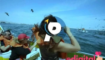 Palacios Agencia de Viajes y Turismo Ica - Paracas 11550