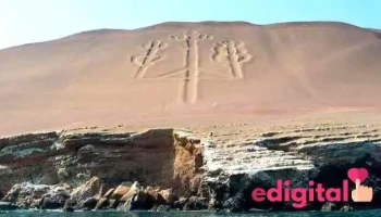 Paracas Expediciones El Pionero - Paracas 11550