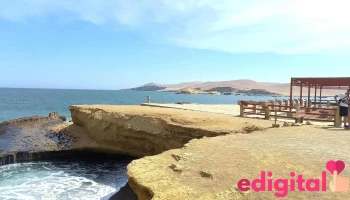 Paracas Full Day - Paracas 11550