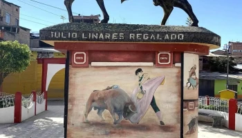 Parque el Toro - Chota 06121