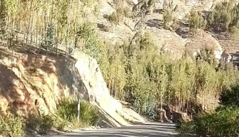 Paucartambo - Cusco - Caicay 08155