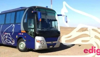 Pegasus Perú - Rent a Car - Tacna