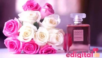 Perfumeria Queen - José Luis Bustamante Y Rivero 04002